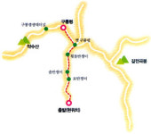 [COVER STORY | 강원의 숲을 걷다⑦] 인간의  때 묻지  않은 그곳 금강  소나무  7형제  산다네