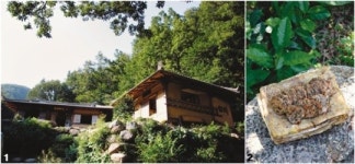 [추석의 감동 ①] 명문 종가 추석엔 조상의 얼이 피어난다