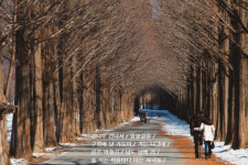 [COVER STORY | 남도길 대장정 희망을 걷다 01] 남도의 겨울 이야기