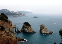 [별책부록 | 그 섬에선 시간도 쉬어간다] 서산삼여에서 쉬어 갈까 모밀잣밤나무숲에서 놀다 갈까