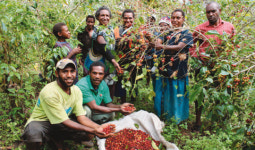 [레저] ‘커피 천국’ 파푸아뉴기니를 아세요?