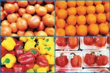 [김용길의 놀라운 편집의 힘]  나누고 분류해야 세상이 보인다