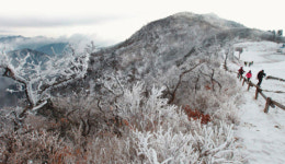[특집] 코끝 싸한 겨울 산 난, 눈꽃에 눈을 멀었다