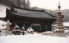 [진우석의 비경 트레킹 | 평창 오대산] 겨울 숲 ‘진경산수화’ 예로구나