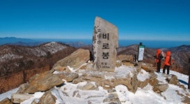 [진우석의 비경 트레킹 | 평창 오대산] 겨울 숲 ‘진경산수화’ 예로구나