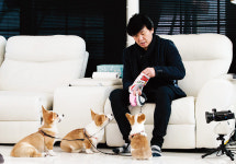 [트렌드] 당신은 개를 키우면 안 된다