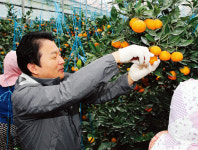 [정치] 광역단체장 4인방의 대권 매트릭스