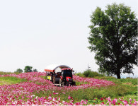 [기업] 한국의 알프스 목장, 농협 안성팜랜드_그곳에 가면 누구나 목동이자 자연인