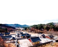 서천에서 뭘 볼까 | 서천에서 뭘 먹고 뭘 살까