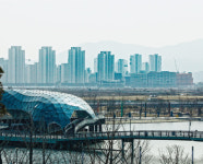 [부동산 | 킹 오 브 부동산 ‘세종시’ ] “전국 다 떨어져도 세종은 오른다! ”