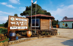 [명욱의 술기로운 생활] 제주로 소주 여행 떠나볼까