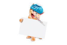 [캣닥터 이영수의 세·모·고(세상의 모든 고양이)] 고양이도 감기에 걸린다