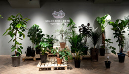 반려식물 ‘대파 키우기’ 입문자가 찾는 플랜테리어 천국 [구기자의 #쿠스타그램]