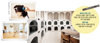 고향 가는 길 반려동물 맡길 곳 어디 없을까