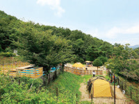 반려견과 놀 수 있는 안전한 겨울 캠핑장은?