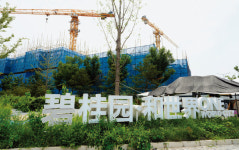 “부동산시장, 내년에 안정 굳히고 2025년 본격 회복·확장 전망”