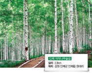 가을바람 솔솔, 우리 ‘숲멍’ 하러 가요