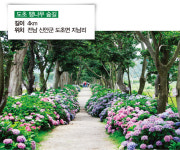 가을바람 솔솔, 우리 ‘숲멍’ 하러 가요