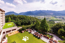 댕댕이와 힐링하는 펫 프렌들리 리조트·호텔은 어디?