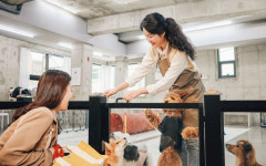 더는 블루오션 아닌 펫산업