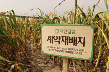 농수산물 유통 전문 브랜드, 자연닮음