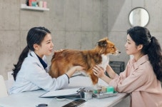 동물병원에서 충분한 설명 요구하는 건 보호자 권리