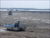 [프리] [웰빙 여행] 홍성 대하·새우젓