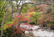 [경남] 지리산 더 넉넉해진 생명의 품