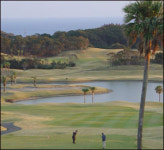 [프리] [일본 여행] 골프천국 규슈