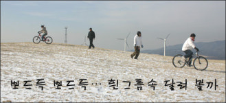 [프리] [순백의 색상] 대관령 목장