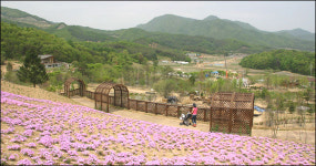 [여행] [신록 피크닉] 여주 해여림 식물원 개원