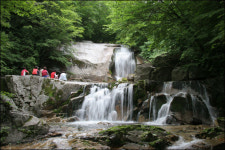 [프리] [심신 달래려면] 휴양림·계곡