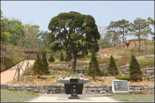 장묘문화 散骨(산골)로 간다