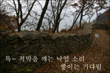 [무주 적상산] 단풍과 낙엽, 生과 死의 공존