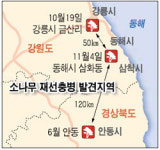 소나무 재선충병 동해市서도 발견