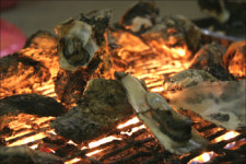 [겨울 맛기행] 보령 천북 굴구이