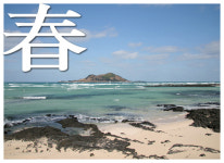 [제주는 봄 봄 봄] 비양도 봄날은 그렇게 다가왔다