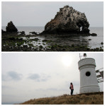 [제주는 봄 봄 봄] 비양도 봄날은 그렇게 다가왔다