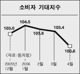 고개떨군 소비심리 기대지수 100.6 하락