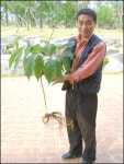 [충남] 초보 심마니 심봤다