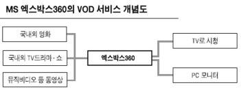 국내 동영상 시장 MS태풍 오나