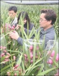[전남] 蘭兄蘭第