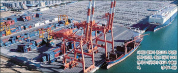 [해양시대가 열린다] 항만에는 이색 직업도 가득