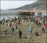 [경남] 모세기적도 보고 조개도 줍고