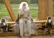 코미디영화 에반 올마이티 제작비가 무려…