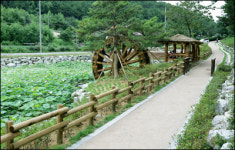 울산 선암저수지 44년 만에 시민 품으로