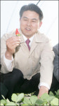 [부산] 잘~익었네 남북잇는 경남통일딸기