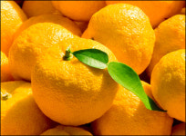 [제5회 지방자치경영대전] 개성 만점 내고장 체험거리 So Cool