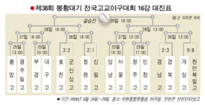 [제38회 봉황대기 고교야구] 청원고 '명문 전통' 살렸다