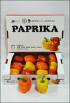 [우수특산품 대상] 에덴농장, 파프리카